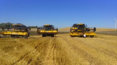 New Holland Cx8070 &Cx5080 & Cx 6080