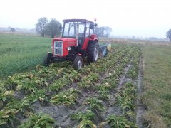 Ursus C-360 i kopaczka