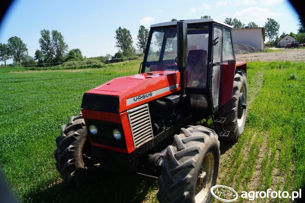 Obraz traktor Ursus 1604 705652 Galeria rolnicza agrofoto