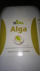 Elvita Alga