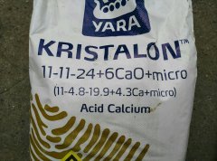 Kristalon