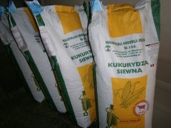 Kukurydza