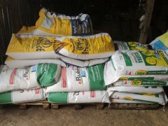 Materiał siewny- żyto i pszenżyto