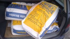 Pszenżyto jare Milewo