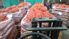 Sprzedaż ziemniaków