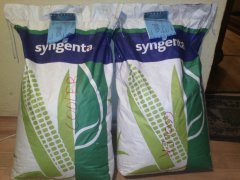 Syngenta Nk Cooler
