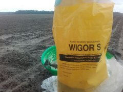 Wigor S