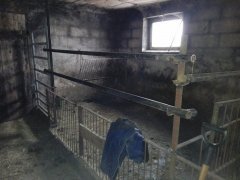 Zastępcza porodowka