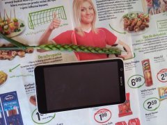 Pszenica Elixer kłos