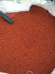 Pszenica ozima Elixer