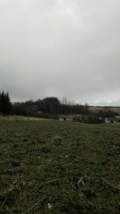 Pszenica Ozima Hondia