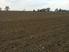 Pszenica ozima - przygotowanie pola