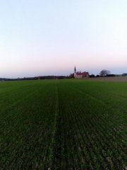 Jęczmień Ozimy Gloria