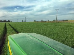 Jęczmień ozimy Heidi - 13.05.2017