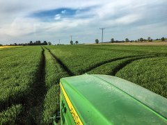 Jęczmień ozimy Heidi - 13.05.2017