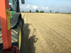 Jęczmien ozimy Heidi - 24.09.2016 - siew