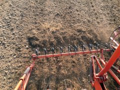 Jęczmien ozimy Heidi - 24.09.2016 - siew