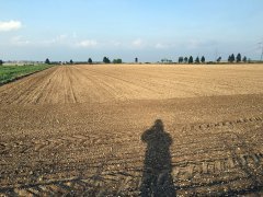 Jęczmien ozimy Heidi, hybrydowy Mercurioo i Wootan - 24.09.2016 - siew