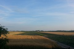 Jęczmień Ozimy Meridian i inne uprawy