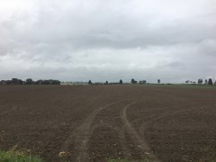 Jęczmień ozimy Tenor i Titus - 8.10.2017