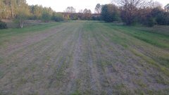 Pszenżyto jare Dublet