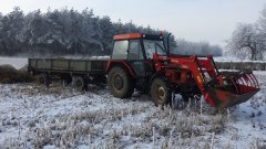 Zetor 5340 i Wol-Met 4.3