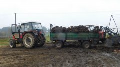 Zetor 7045 plus rozrzutnik obornika i Ursus 912 i tur Metal Fach