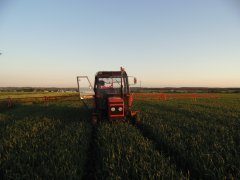 Zetor 7211