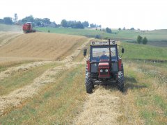 Zetor 7245 Bizon Z056 Żniwa 2015