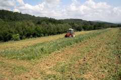 Zetor 7245 + Talerzówka 2.2m