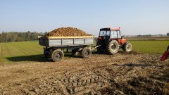 Zetor 7340 & D47