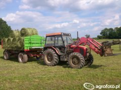 Zetor 7340 i Unia Brzeg P-10 long