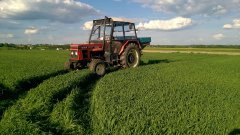 Zetor 7711 turbo + sulky