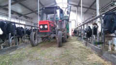 Zetor 7711