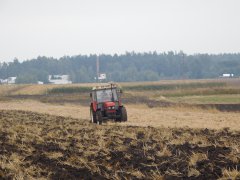 Zetor 7745 - Orka 2015