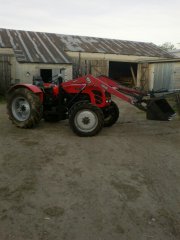 Zetor