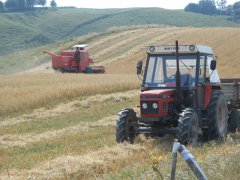 Żniwa 2015 Zetor 7245 Bizon Z056