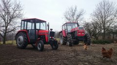 Zetor 8045 & Massey Ferguson 255