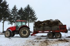 Zetor 11441 Forterra & Igamet 8t