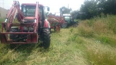 Zetor 8441 i moskit