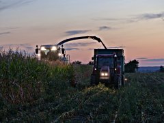 Zetor Forterra 11411 & Claas Jaguar 890
