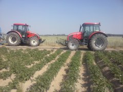 Zetor Forterra 11741 i  Forterra 115