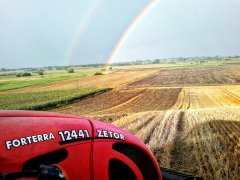 Zetor forterra 12441