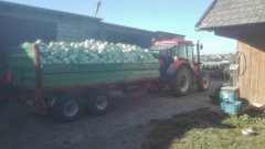 Zetor proxima 6441 & pronar