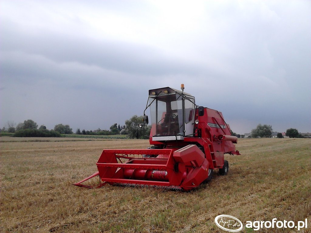 Kombajn Massey Ferguson 16 Zdjecie 6795 Galeria Rolnicza Agrofoto