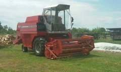 Massey Ferguson 16