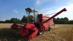 Massey Ferguson 16