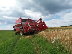 Massey Ferguson 307