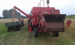 Massey Ferguson 307