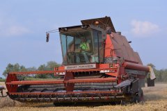 Massey Ferguson 31 XP